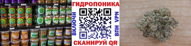 где можно купить наркотик  Хасавюрт  Печенье с ТГК конопля 