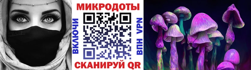 Псилоцибиновые грибы Psilocybine cubensis  Хасавюрт 